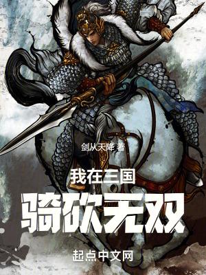 我在三国骑砍无双起点中文网
