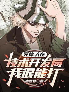 死神主角的斩魄刀 死神主角的斩魄刀