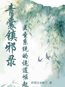 关于青囊书的神医