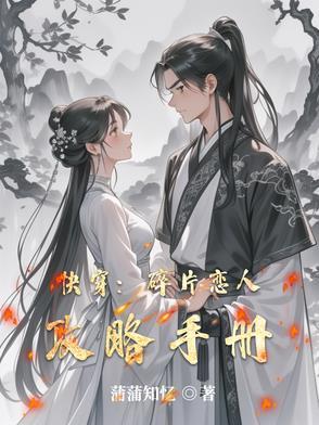 碎片这本书讲了什么