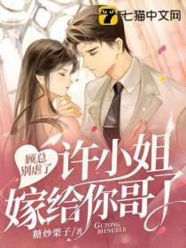 顾总别虐了许小姐嫁给你哥了大结局