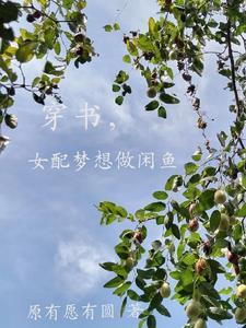 团宠萌宝一岁半免费